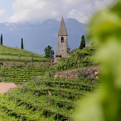 Classico Weinberg 