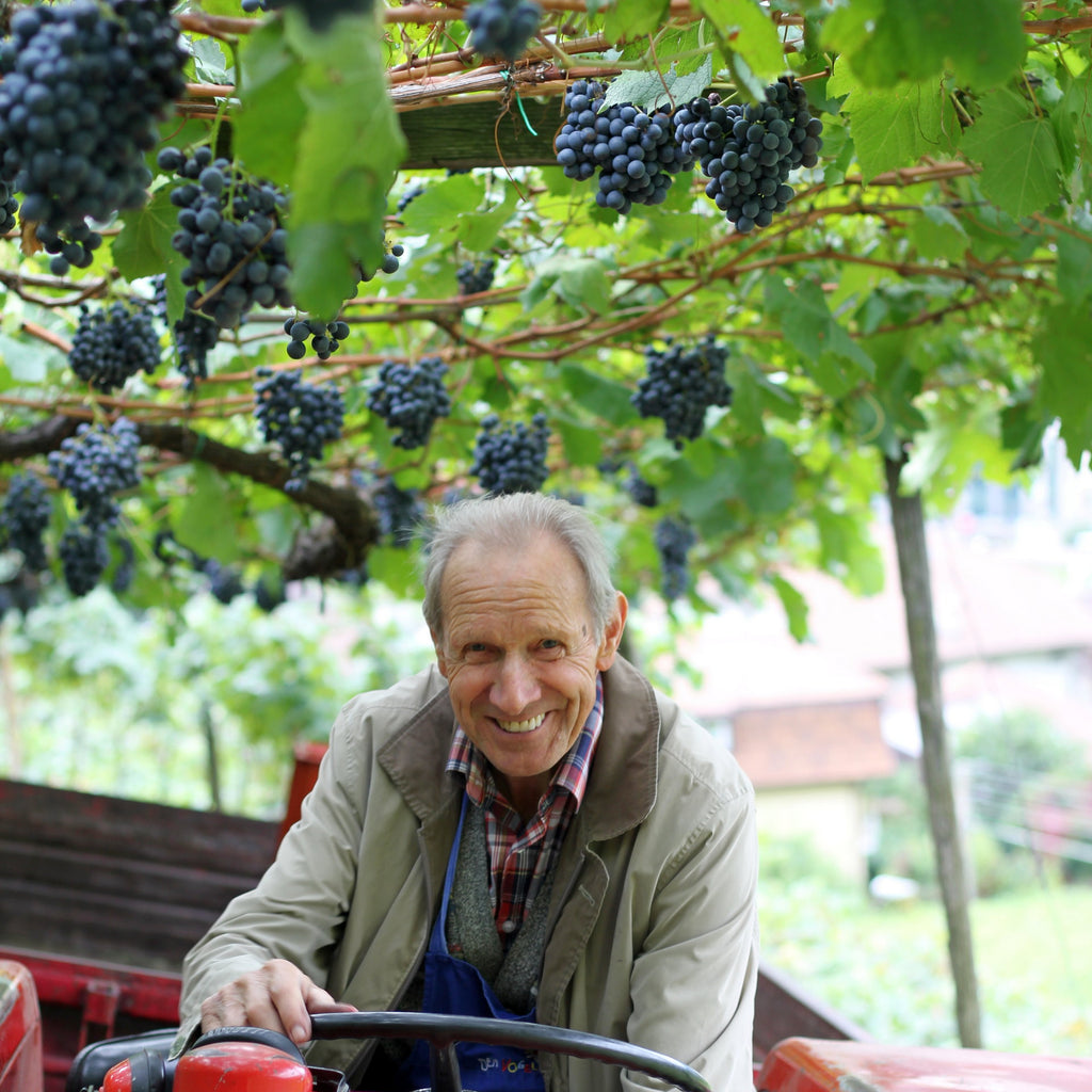 Heini auf dem Traktor in der Grafenleiten 