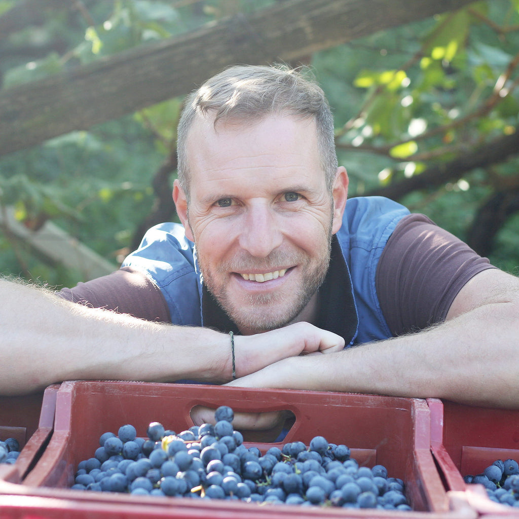 Thomas mit toller Ernte Grafenleiten 