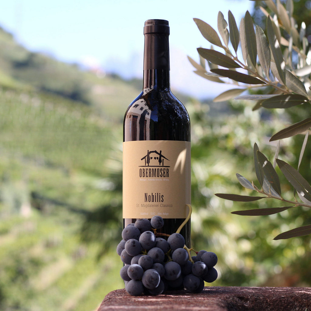 Nobilis mit Tschaggelevernatsch Traube 